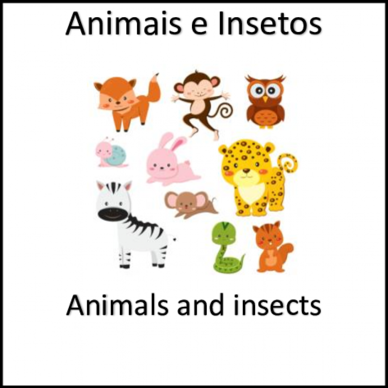 5.1) Animals and Insects – Animais e insetos