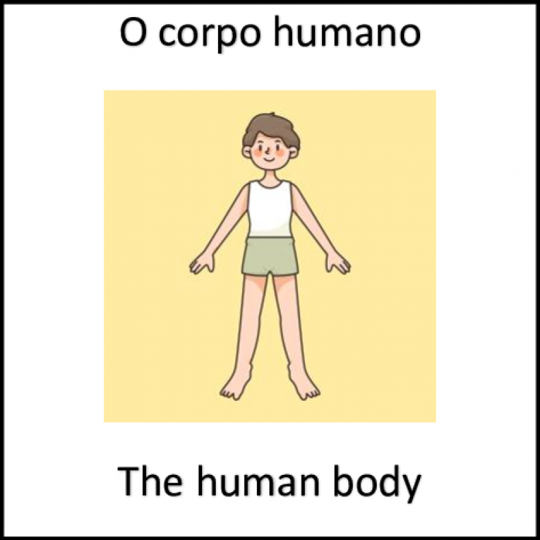 6.0) Human Body – Corpo humano