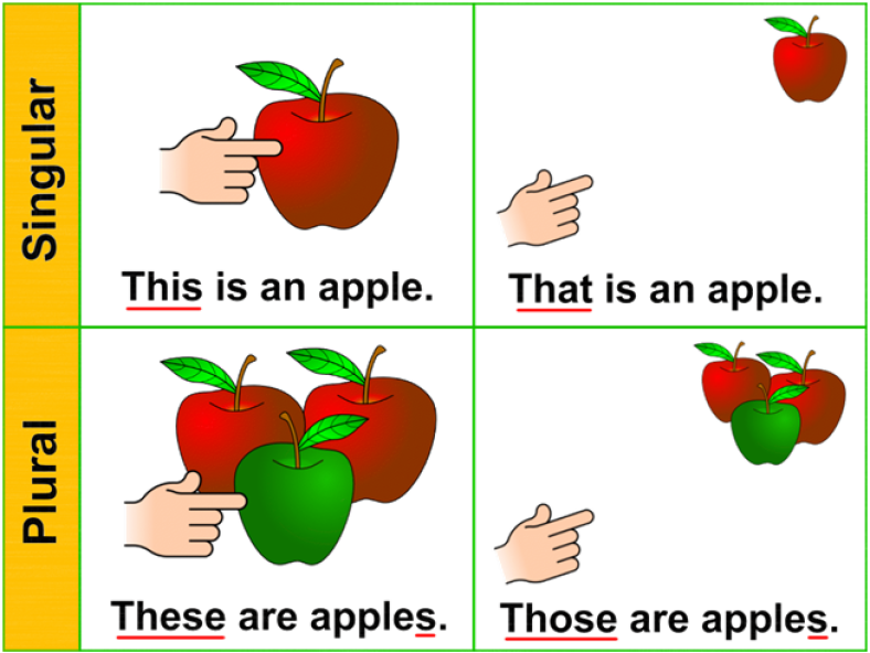 y8) Portuguese class 08 – demonstrative